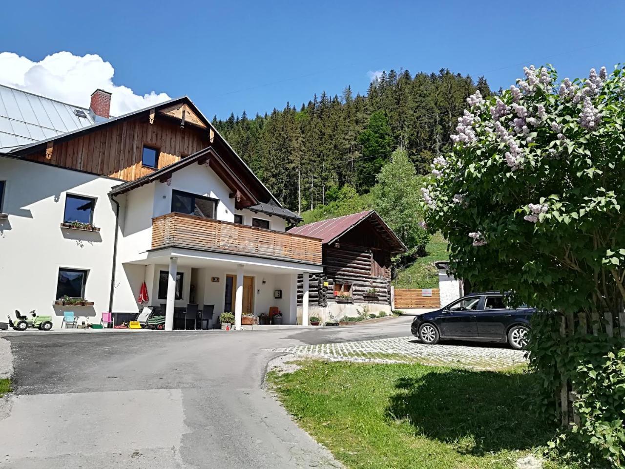 Appartement Grosswallner Radstadt Zewnętrze zdjęcie